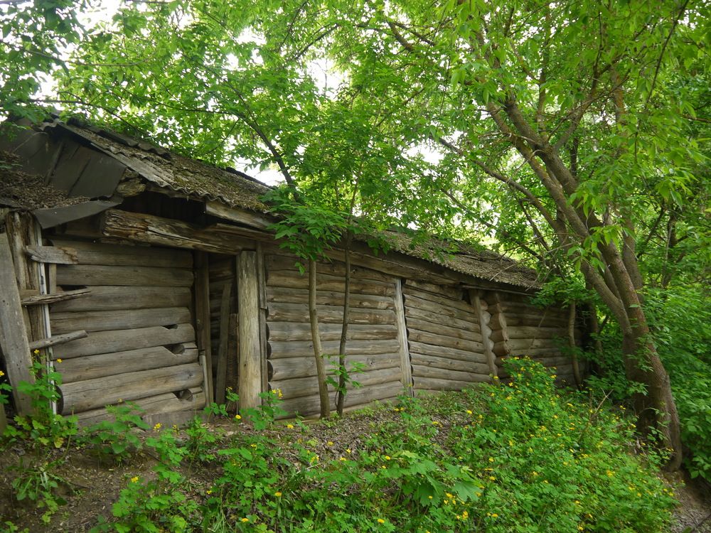 Photograph by Клавдия Васильева