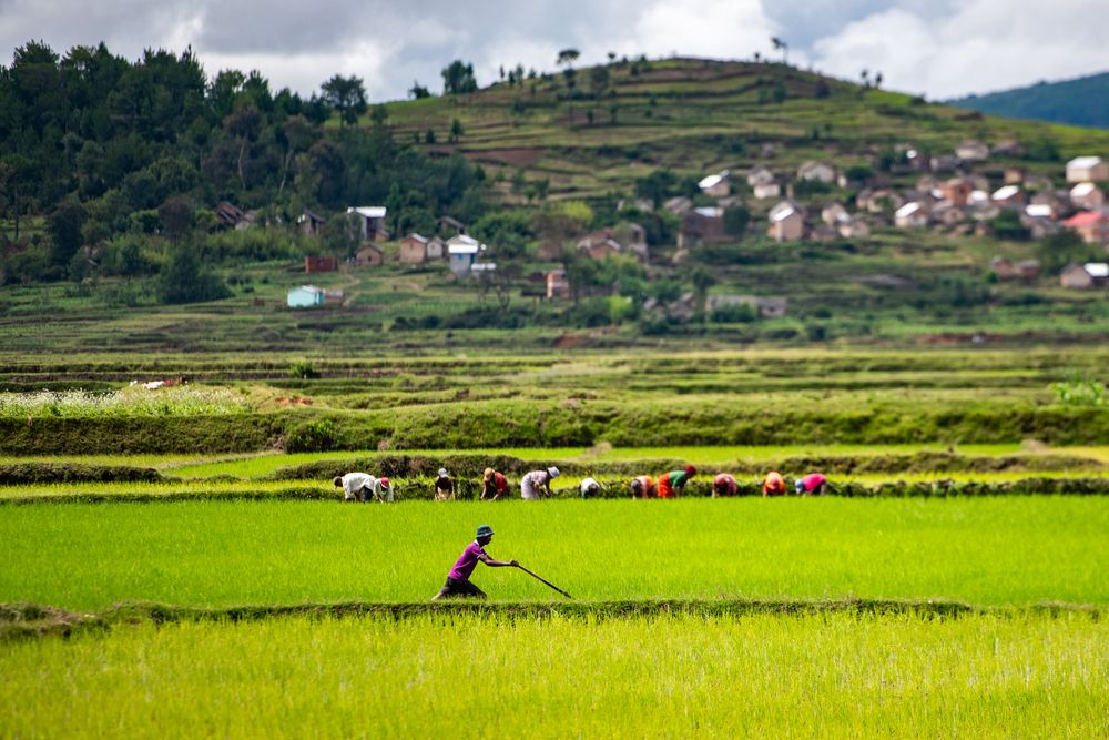 Photograph by Ismail Hassanaly