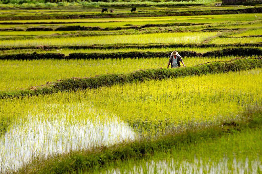 Photograph by Ismail Hassanaly