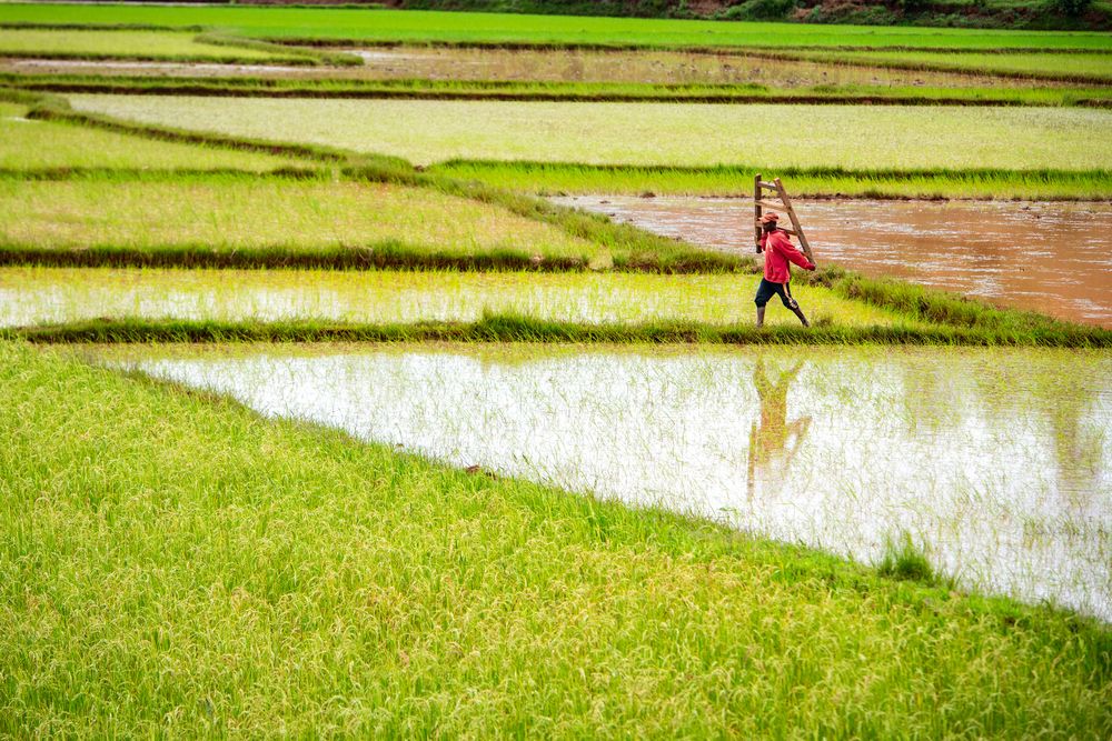 Photograph by Ismail Hassanaly