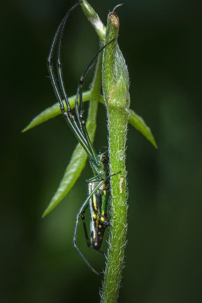 Photograph by NeCoTi ChonTin