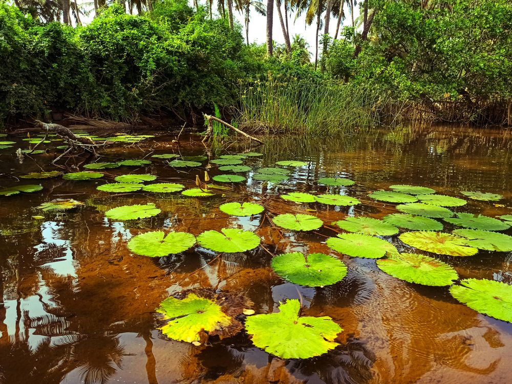Floating in paradise