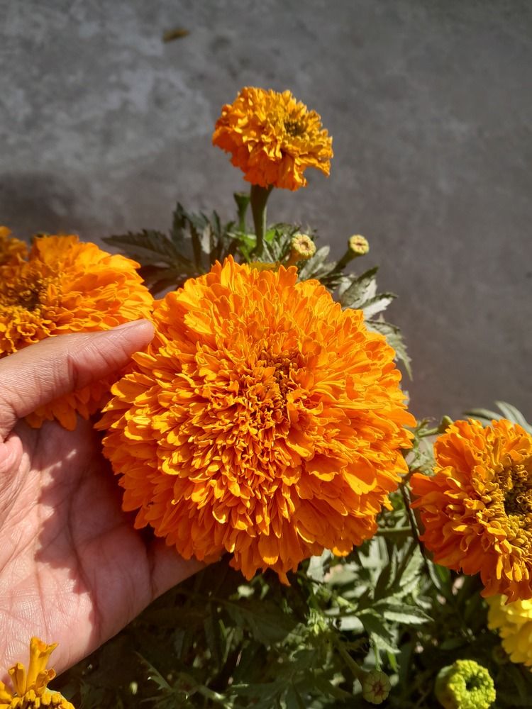 Photograph by megha stuart