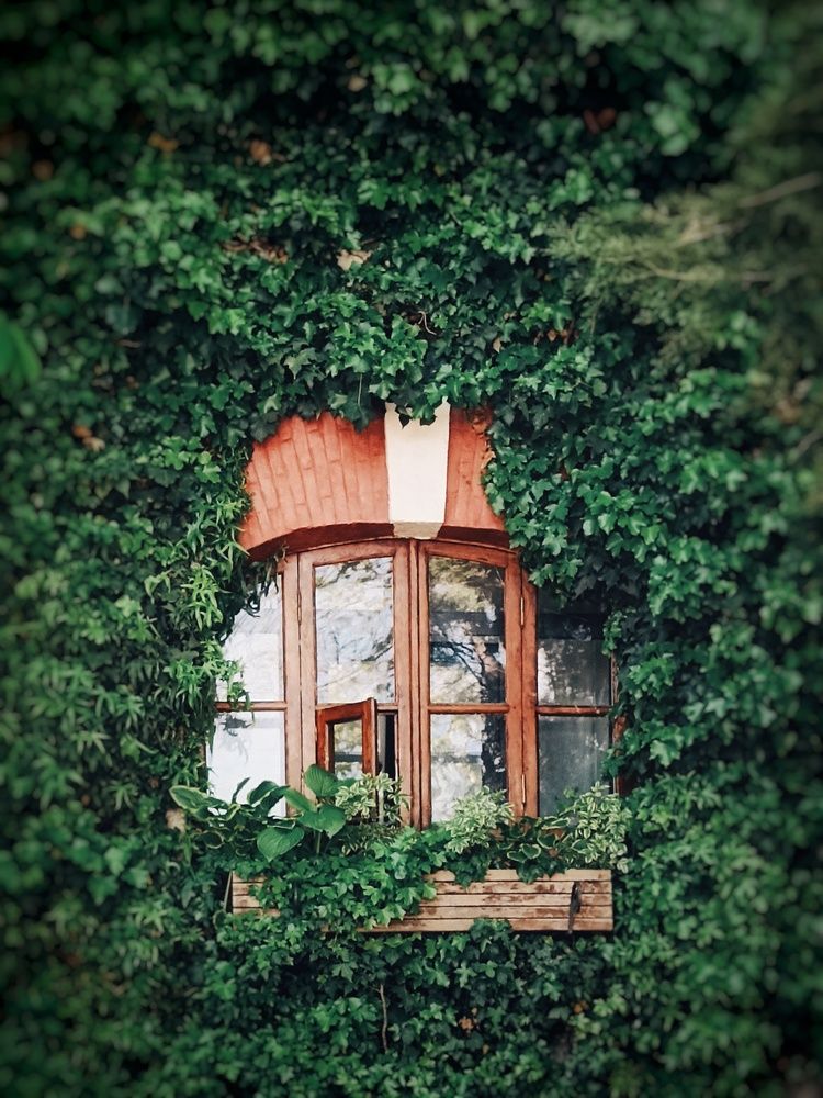 Photograph by Лариса Мик