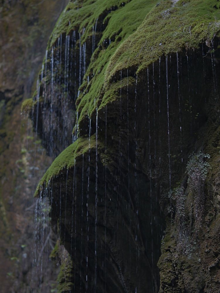 Photograph by Валерий Мыльников