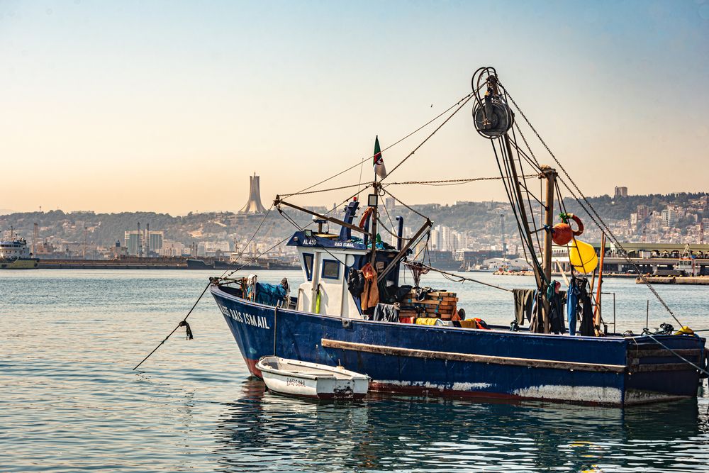 Photograph by kamel draa