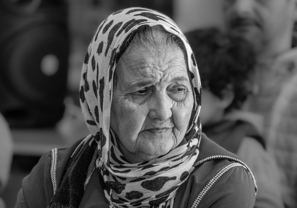 Фотография автора kamel draa
