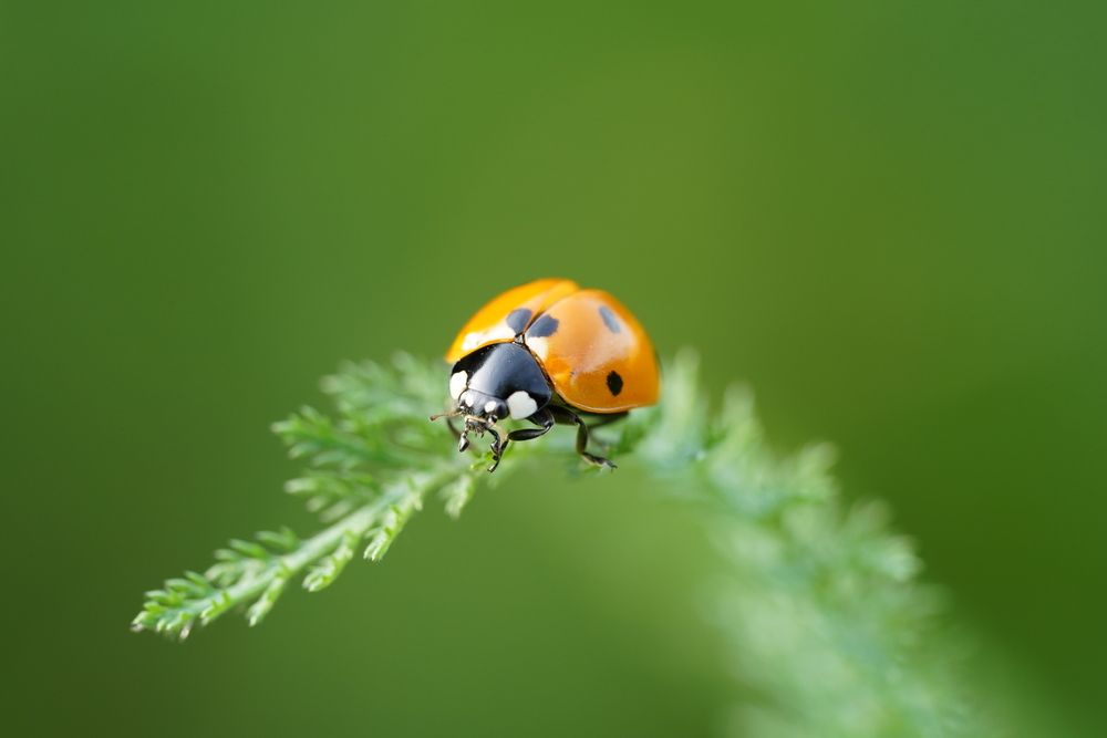 Photograph by John Doe