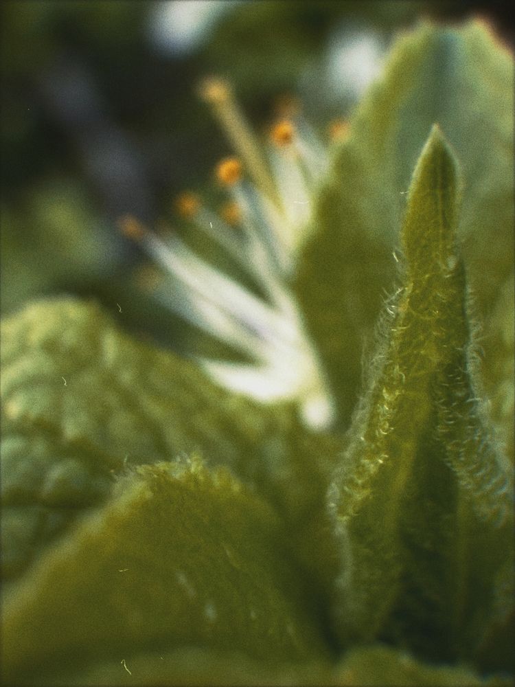 Photograph by Александра Бусарова