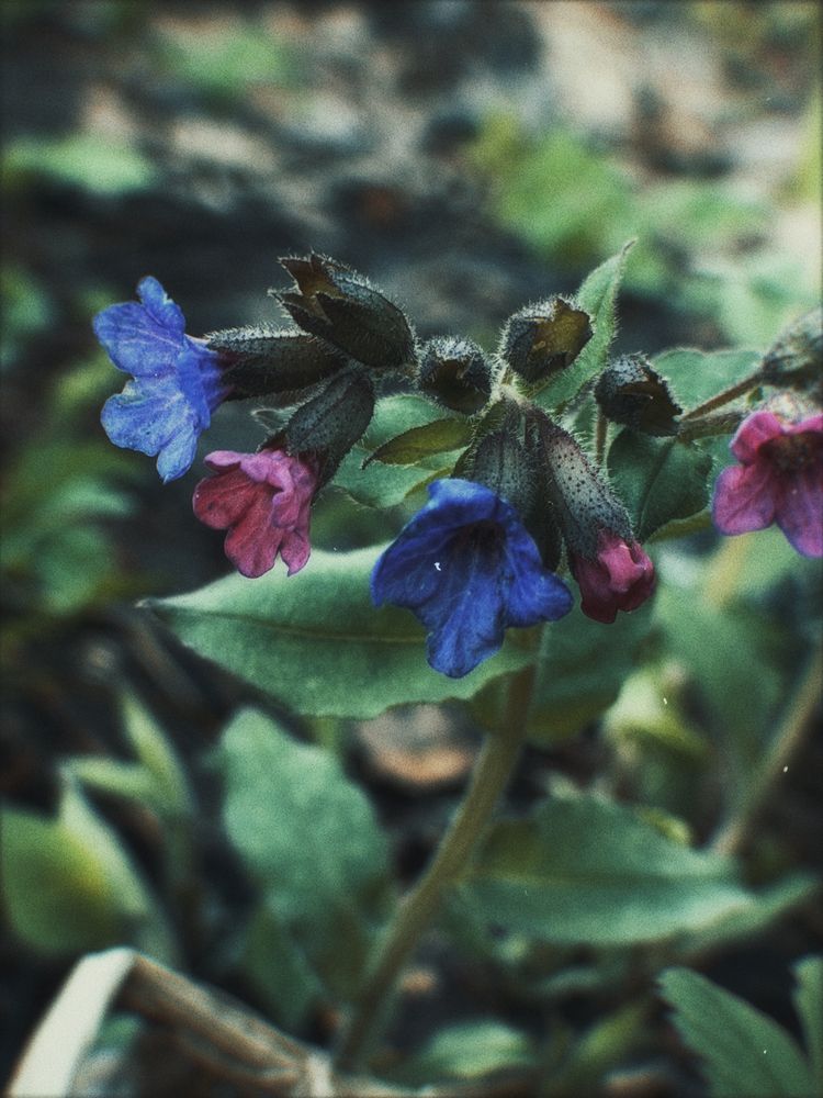 Photograph by Александра Бусарова
