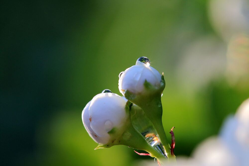 Photograph by Юрий Варюхин