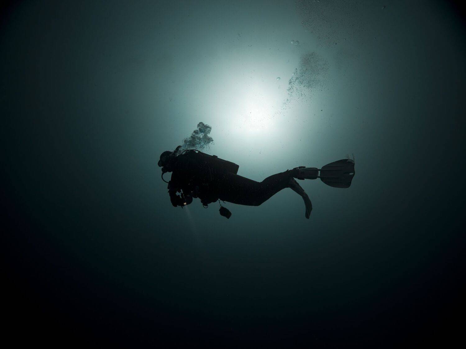 Silhouette