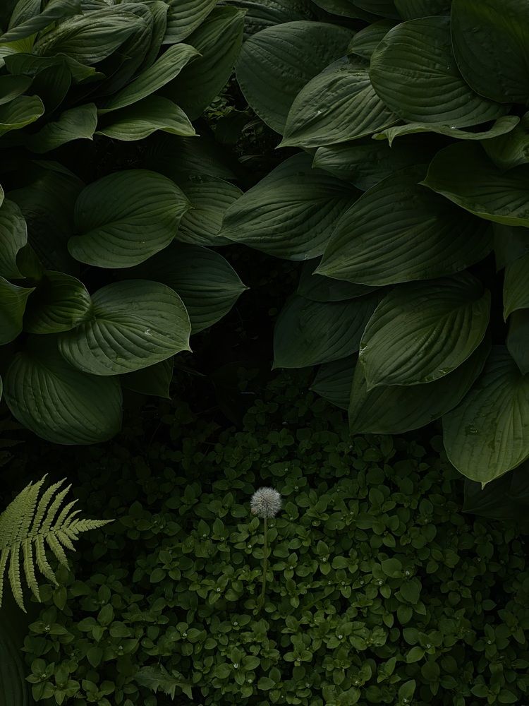 Photograph by Смирнова Юлия