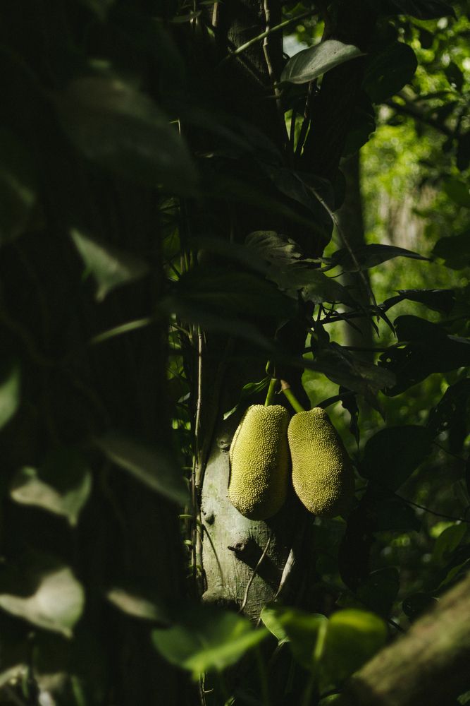 Photograph by Juliana Tavera