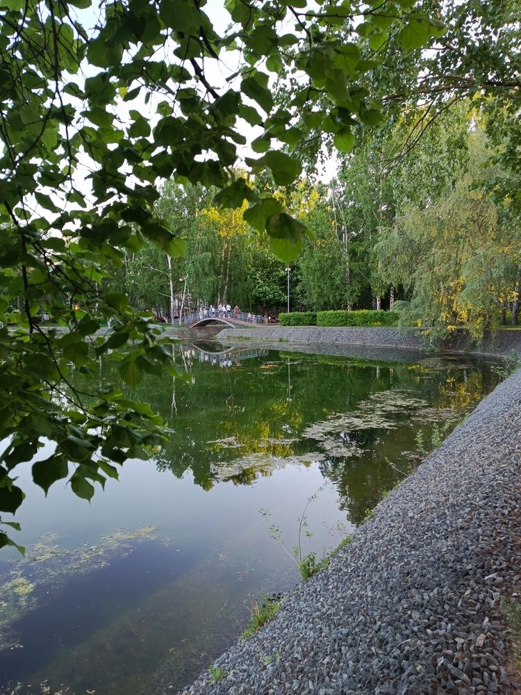 Photo #13599617