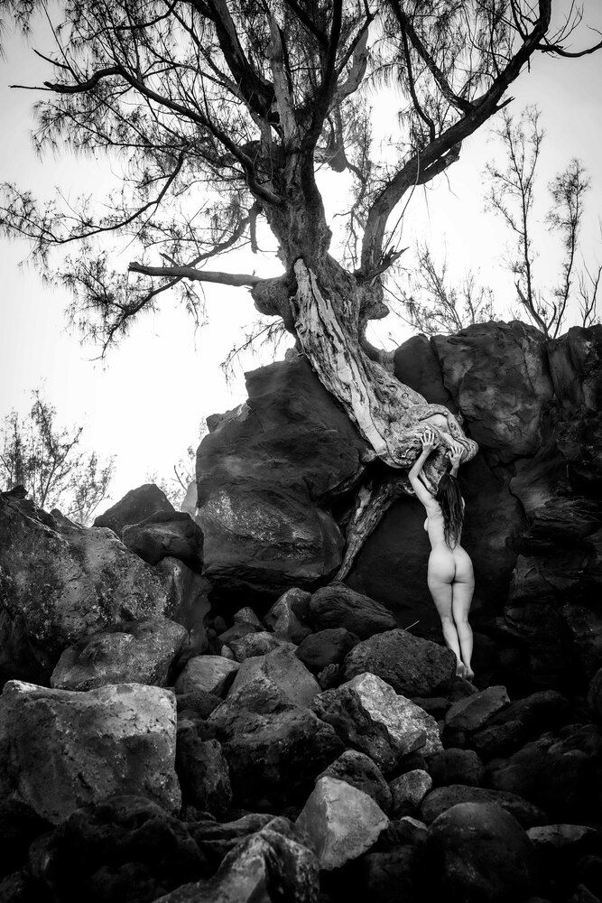 Фотография автора Michel MIALON