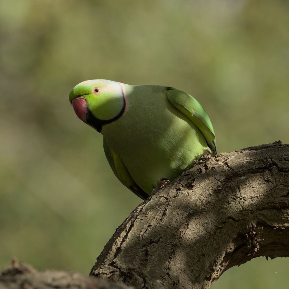 Photograph by paul le henaff