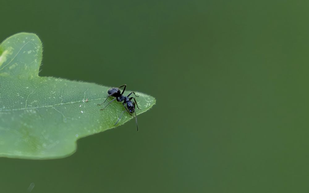 Photograph by melenciuc cristian