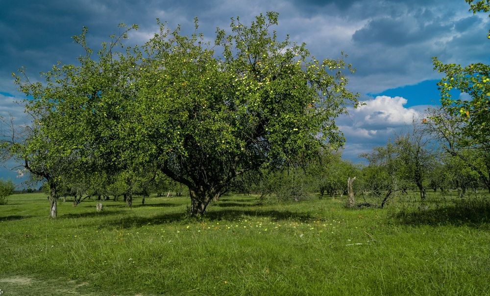 Photograph by Максим Кичкайло