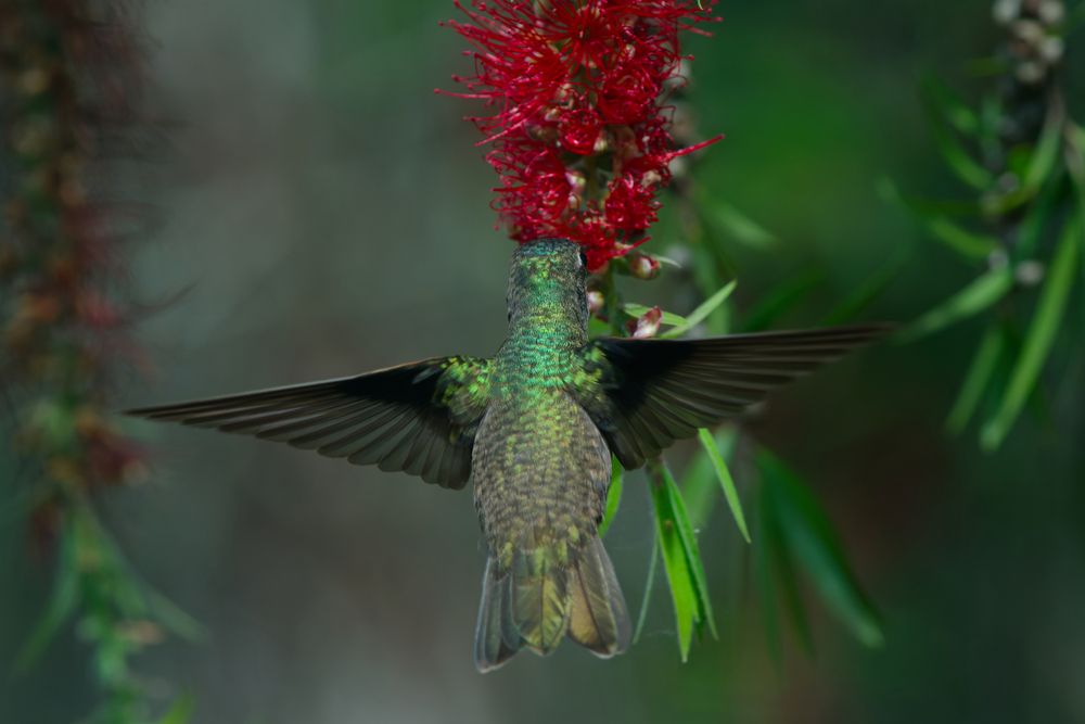 Photograph by Henry Cukier