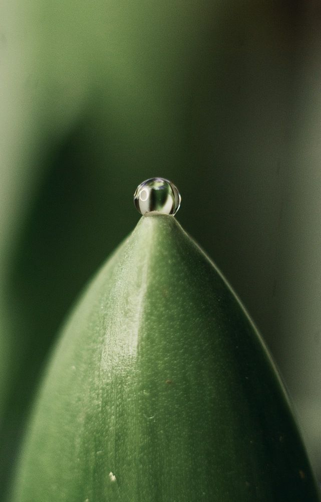 Photograph by Виктория Уварова
