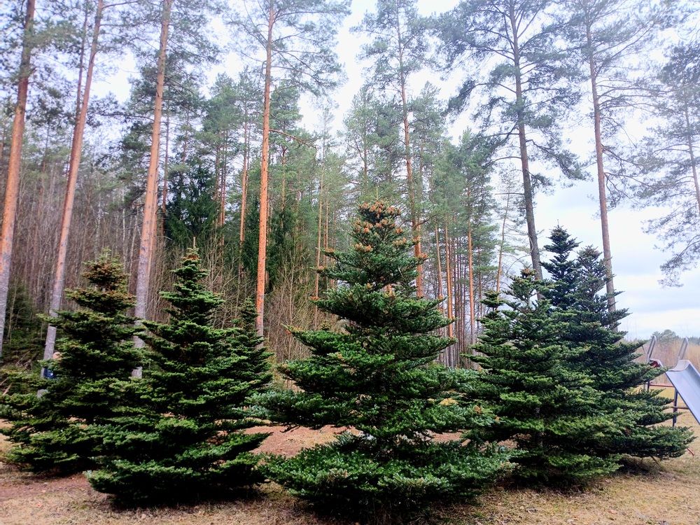 Photograph by Екатерина Смирнова