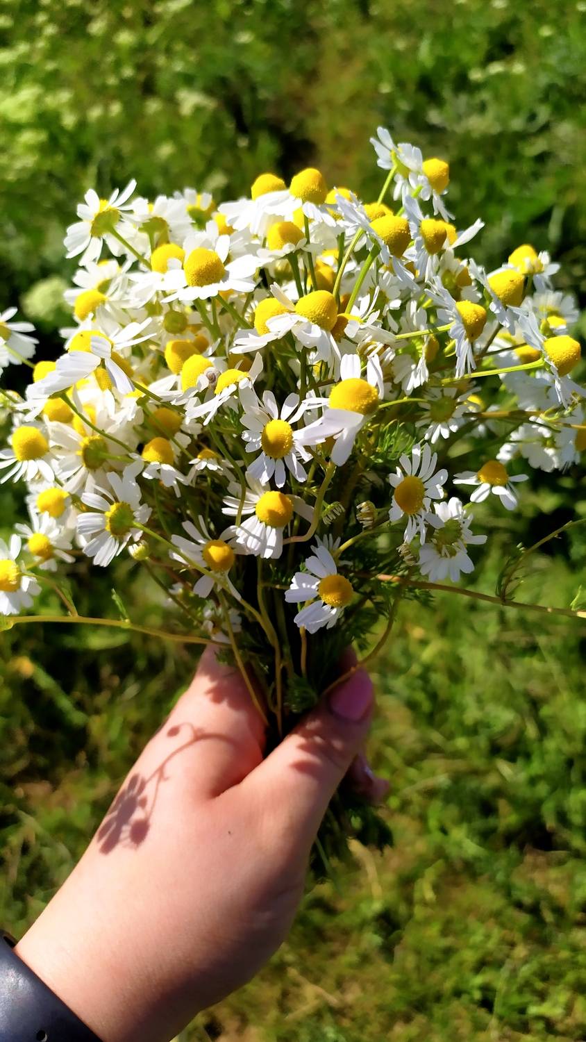 Photo #13599886