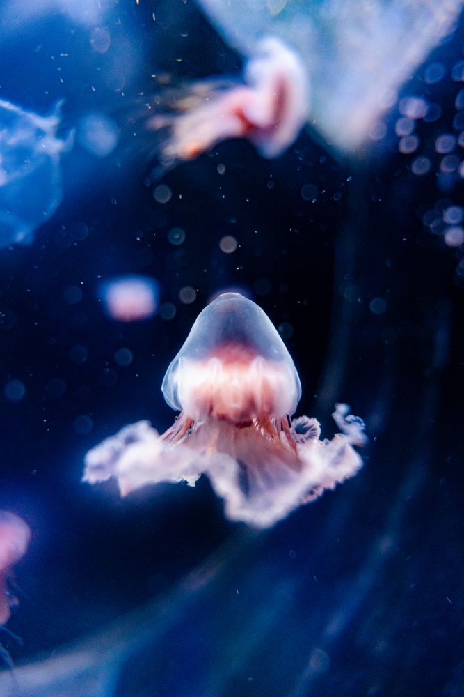 Photograph by Арсений Крят
