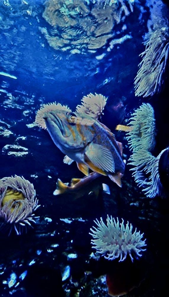 Photograph by Rafał Piekarski