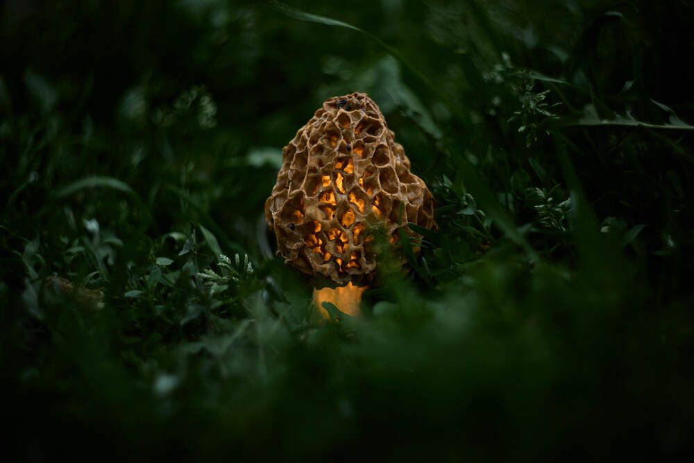 Photograph by Будняк Денис