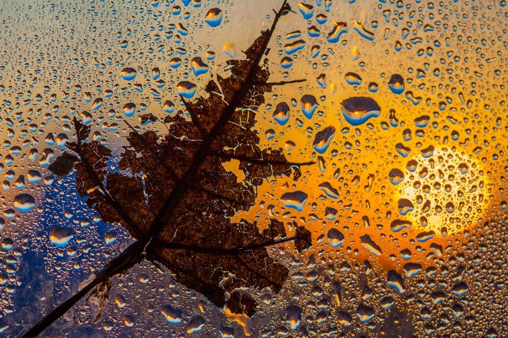 Купаясь в лучах заката