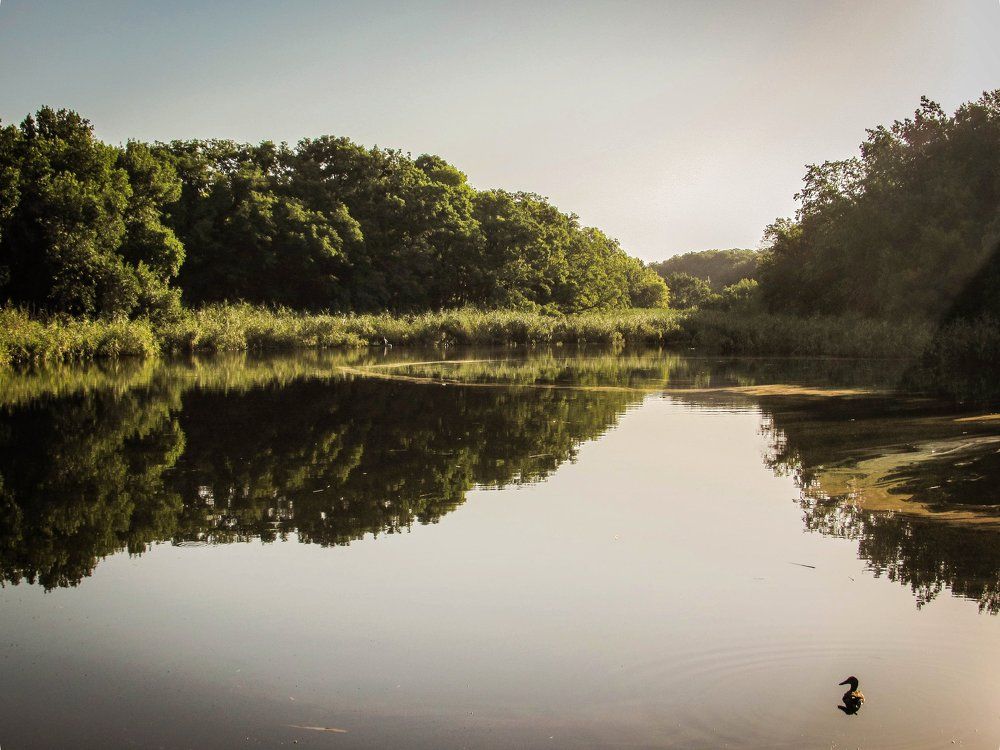 Начало жаркого дня
