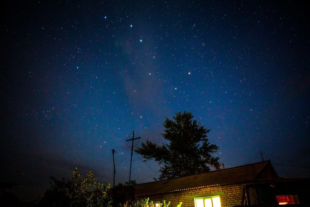 Медведица в деревне