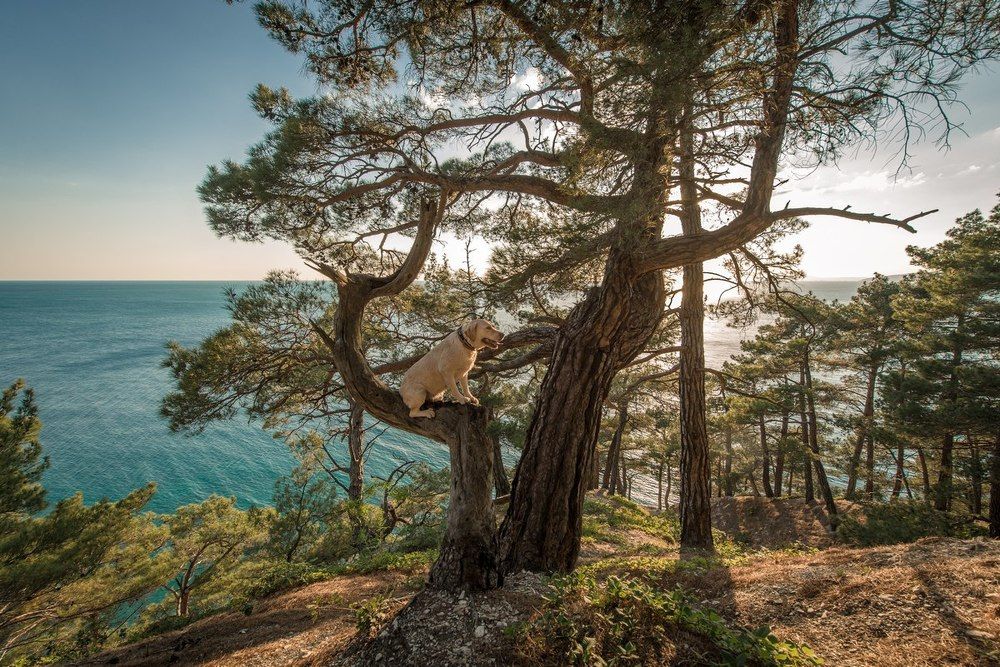 Отдых на природе