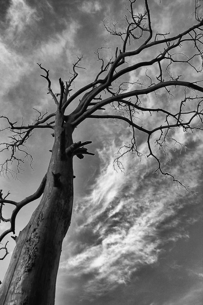 Жизнь после...