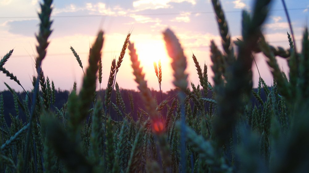 Photograph by Малах Виктория