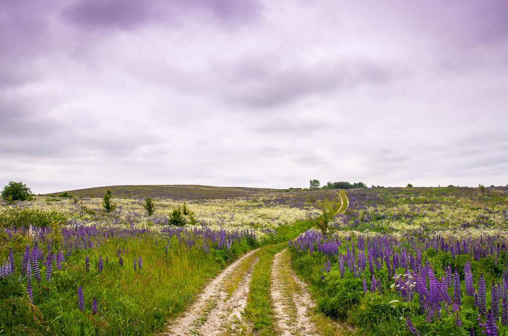 Photograph by Зачепило Евгений
