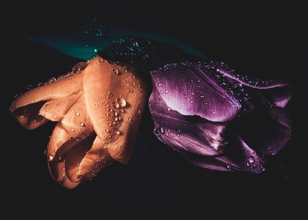 Photograph by Сергеева Дашуня