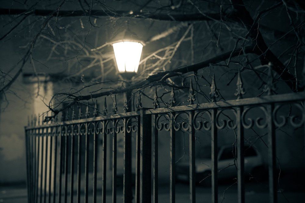 Photograph by Алексей Размашкин