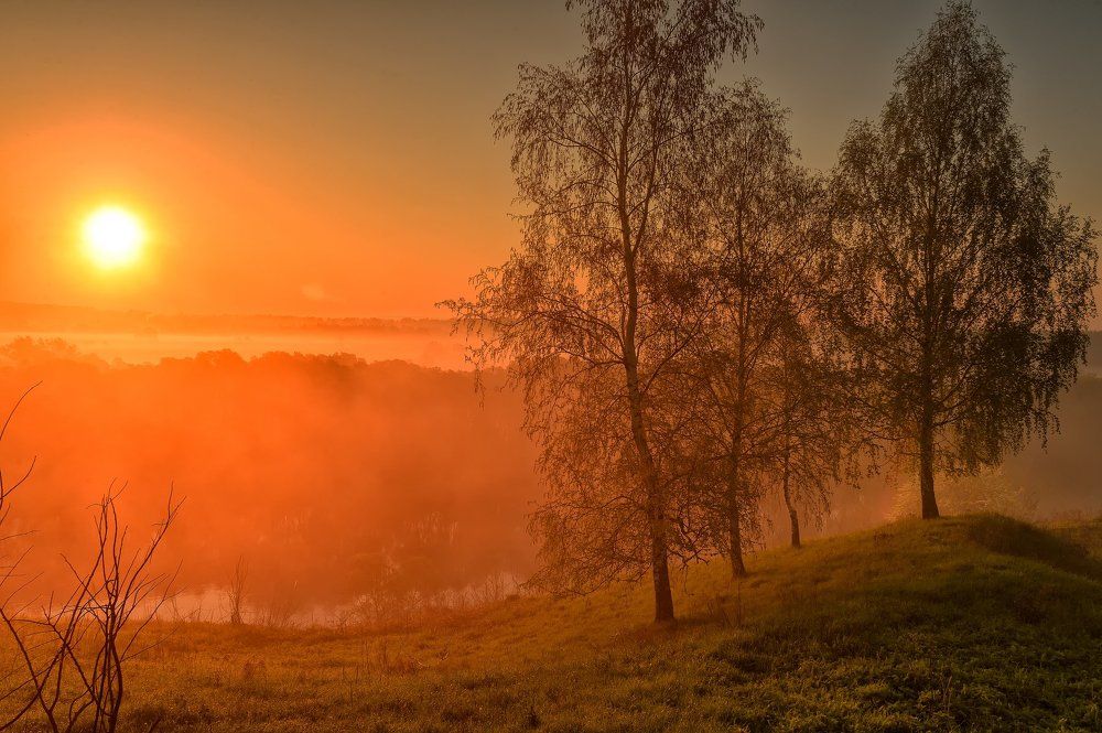 Золотая заря