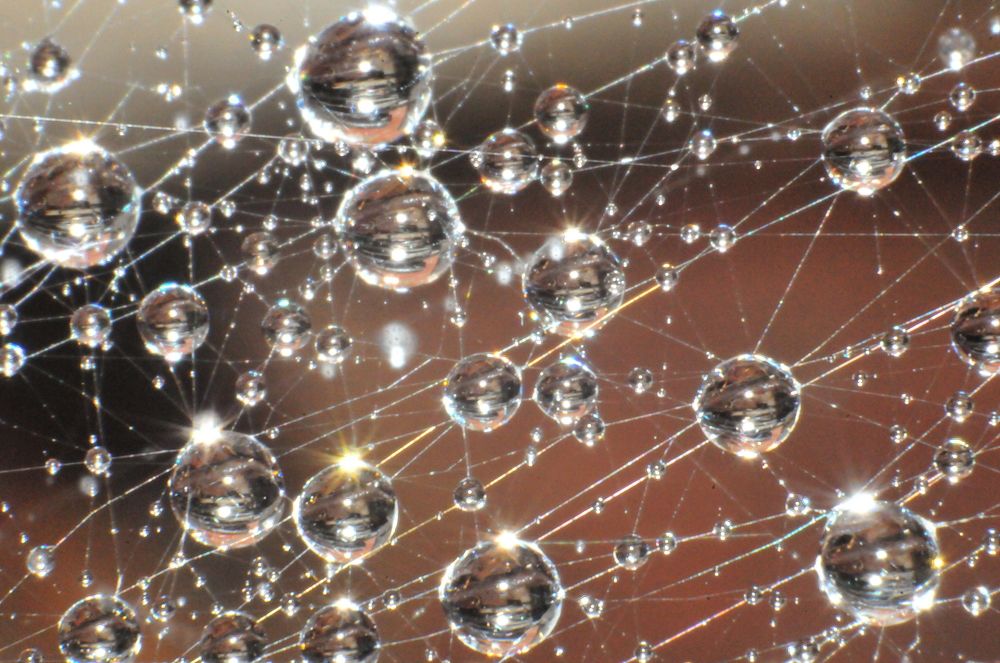 В одном строю...