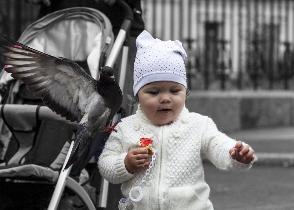 Не всегда голуби мирные.