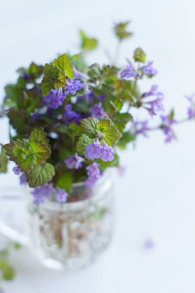 Photograph by Юлия Тимофеева