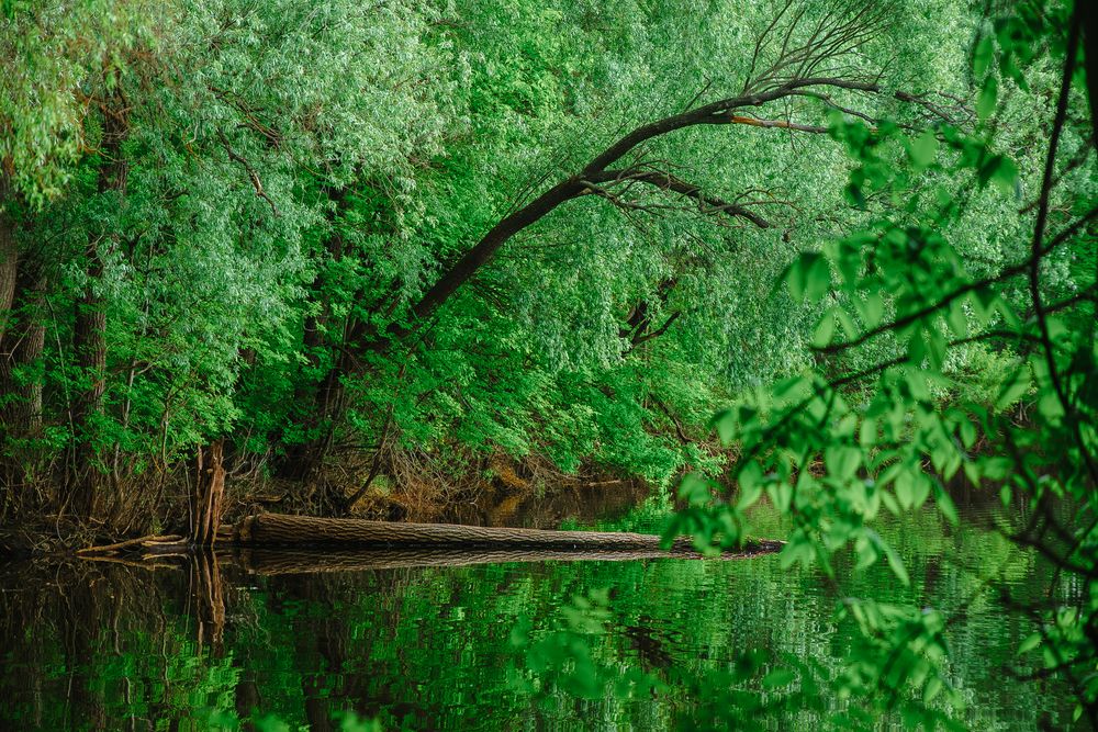 Photograph by Иван Полиненко