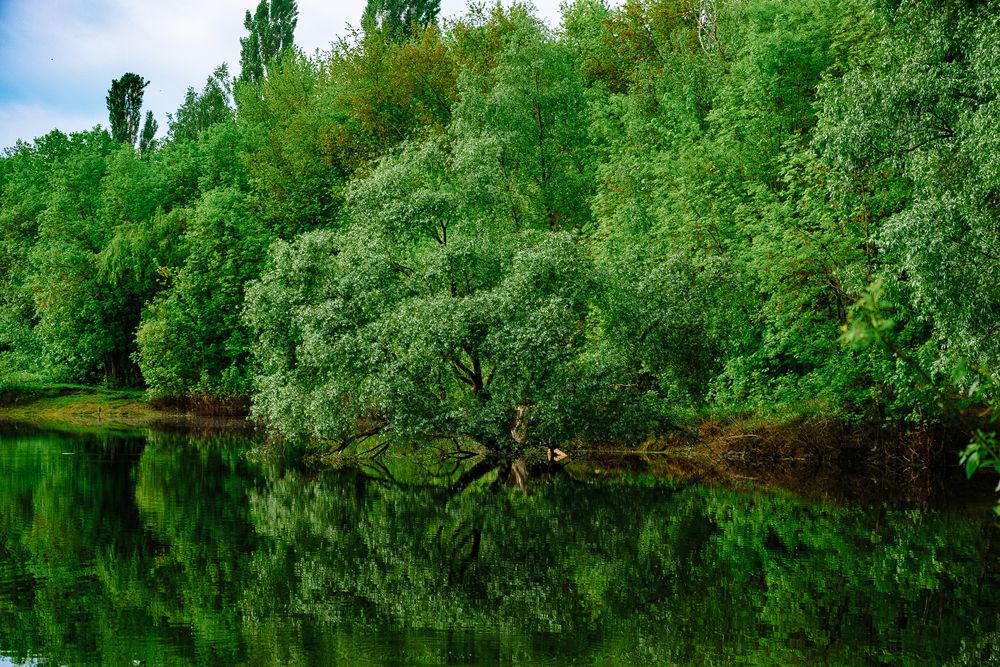 Photograph by Иван Полиненко