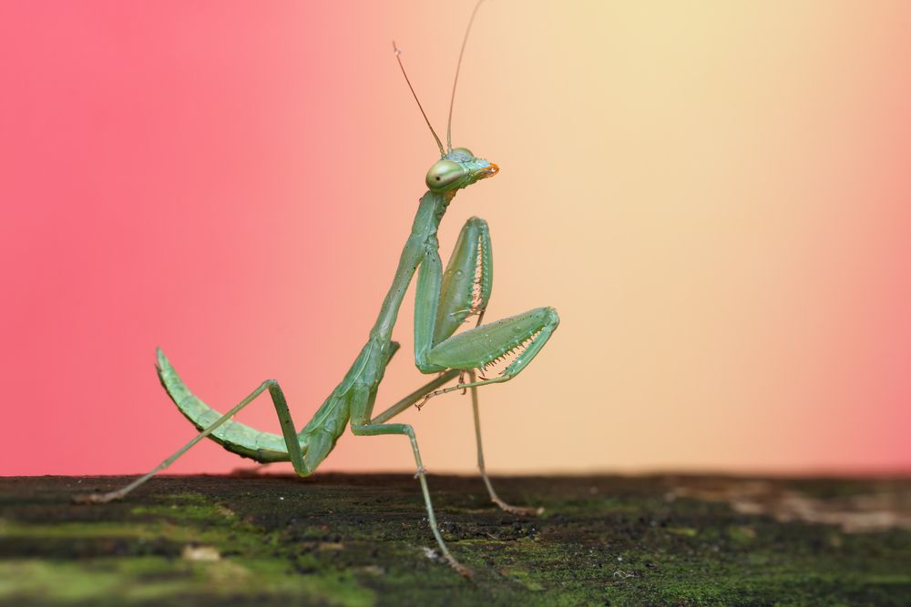Photograph by Cassius Cardoso
