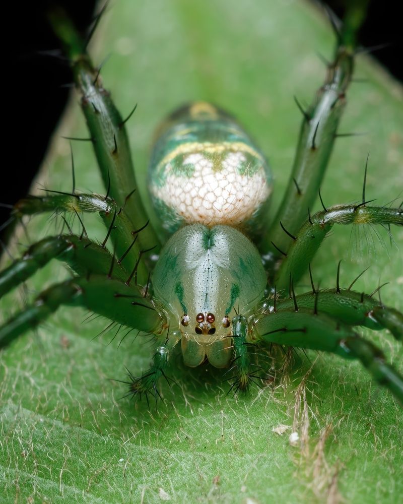 Photograph by Cassius Cardoso