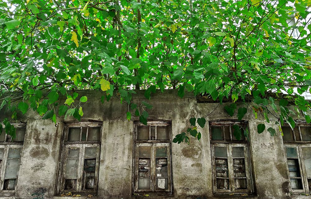 Photograph by hasan sorena jouri