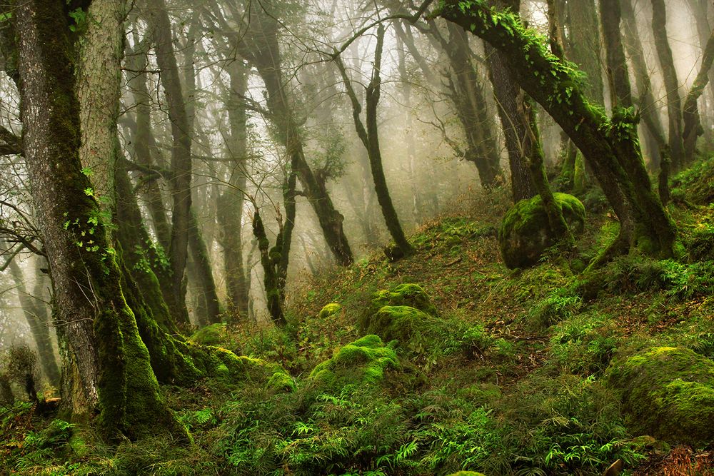 Photograph by hasan sorena jouri