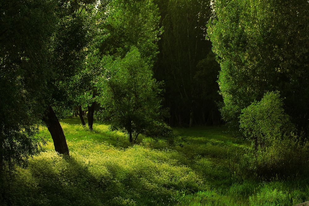 Photograph by hasan sorena jouri